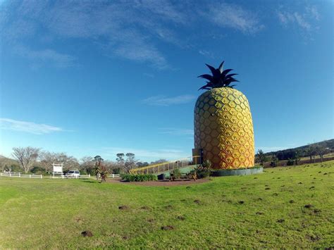  Die Big Pineapple: Ein tropisches Paradies mitten in KwaZulu-Natal!