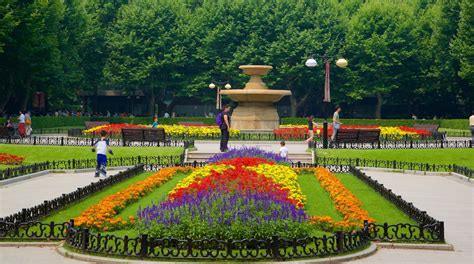 Der Fuxing Park: Ein Paradies für Naturliebhaber und Fotobegeisterte!